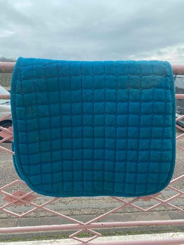 Equitation - Tapis turquoise  - photo 5
