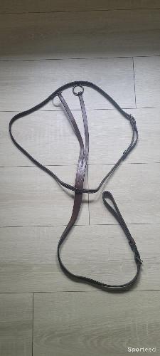 Martingale à anneaux