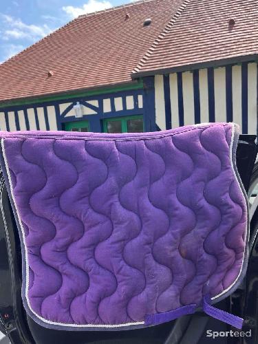 Equitation - Tapis violet equitheme  - photo 6