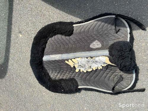 Amortisseur noir lena 