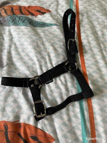 licol poney réglable 