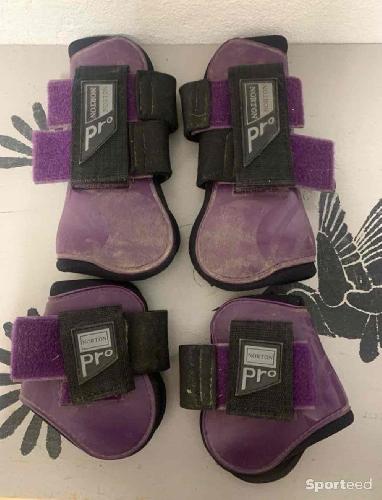 Guêtre et protège boulet 