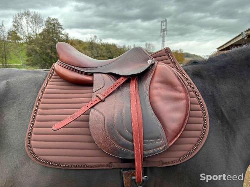 Equitation - Selle cwd - photo 6