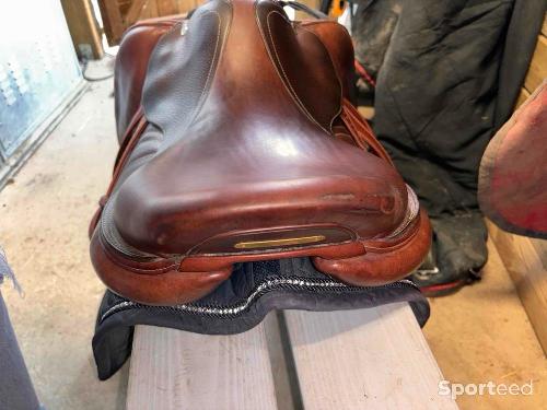 Equitation - Selle cwd - photo 6