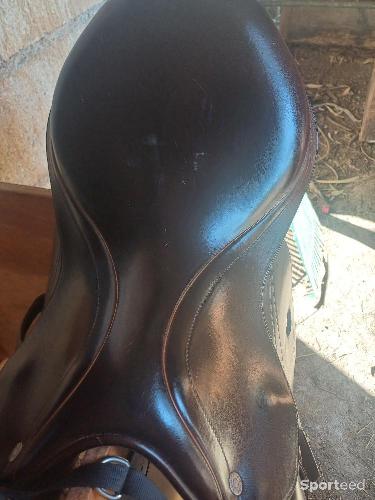 Equitation - Selle equipe  - photo 6