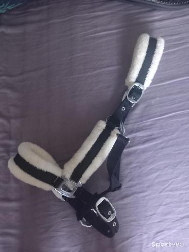 Licol moumoute blanche 