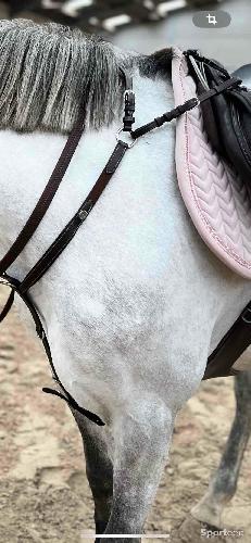 Collier de chasse taille poney dyon’s