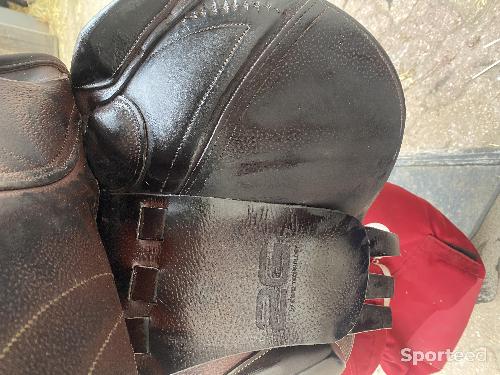 Equitation - Selle CWD - photo 6