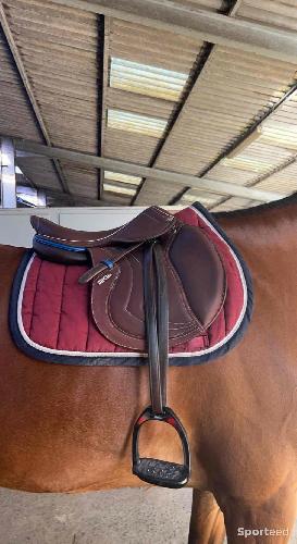 Equitation - Selle Cwd  - photo 5