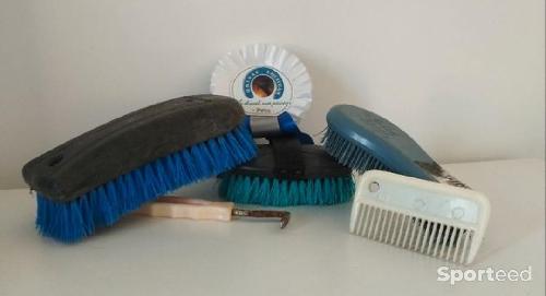 Brosse cheval