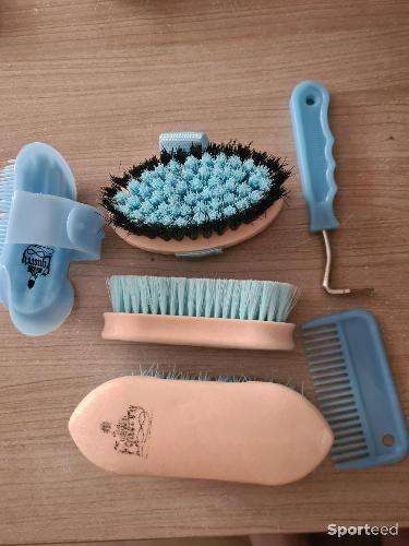 Equitation - Boite pansage + brosses - photo 4