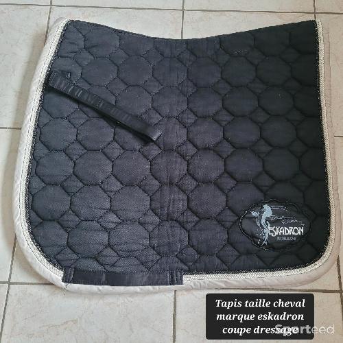 Equitation - Tapis noir coupe dressage eskadron - photo 6