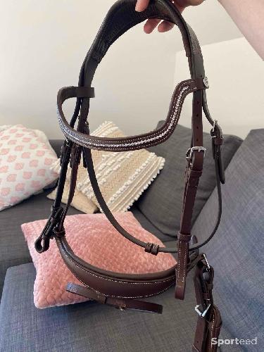 Equitation - Filet Poney - photo 5