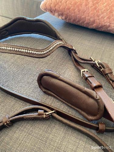 Equitation - Filet Poney - photo 5