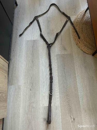 Equitation - Collier de chasse  - photo 6