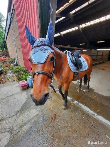 Equitation - Ensemble kentucky  - photo 6