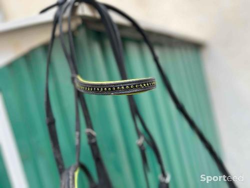 Equitation - Filet cuir strass taille cob cheval  - photo 6