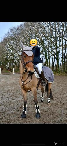 Equitation - Couvre rein Equitheme  - photo 4