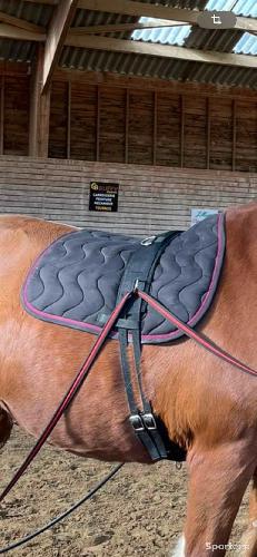 Equitation - Tapis harcour - photo 6