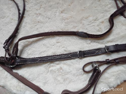 Equitation - Collier de chasse - photo 6