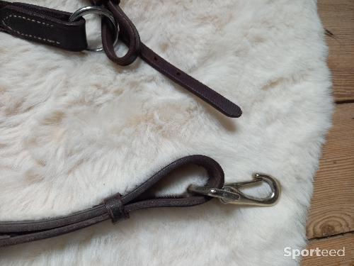 Equitation - Collier de chasse - photo 6