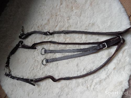 Equitation - Collier de chasse - photo 6