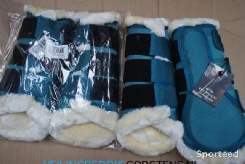 Guêtres dressage Hv Polo neuve