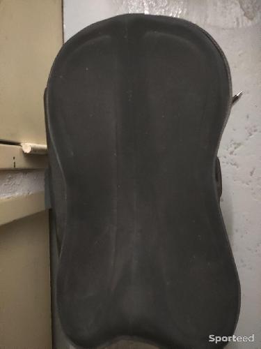 Tapis amortisseur cheval 