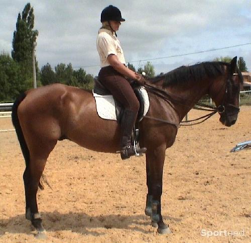 Equitation - Rênes allemandes (coulissantes) en cuir - photo 6