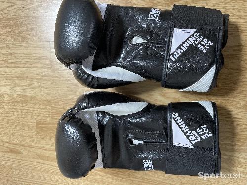 Boxes - Gants de boxe taille 10 - photo 4