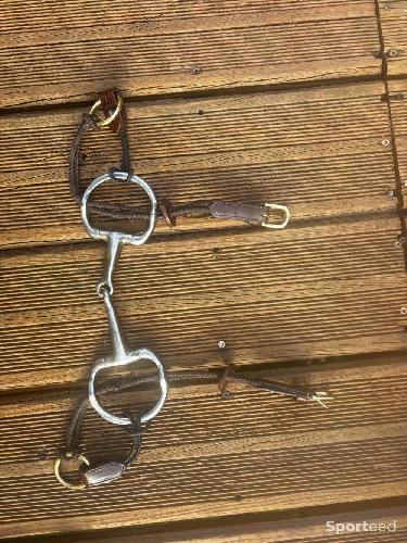 Mots releveur avec alliance poney/cob