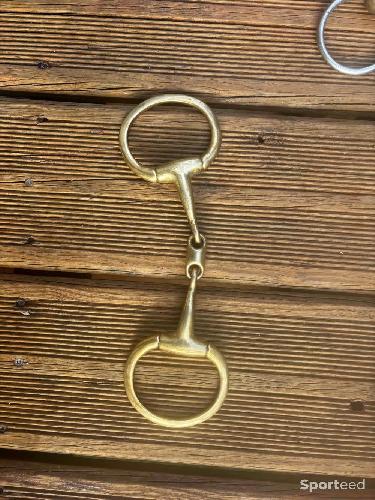 Mots double brisure cheval