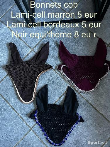 Bonnets cheval