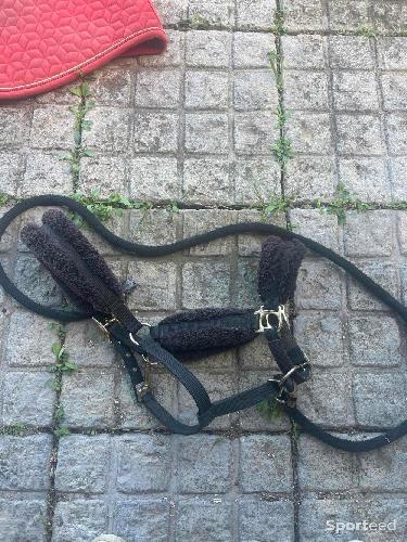 Licol + longe décathlon 