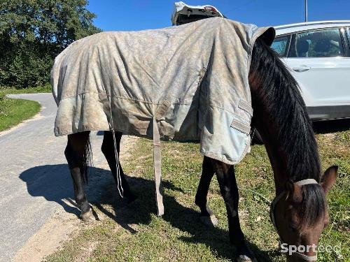 Equitation - Couverture d’extérieur  - photo 4