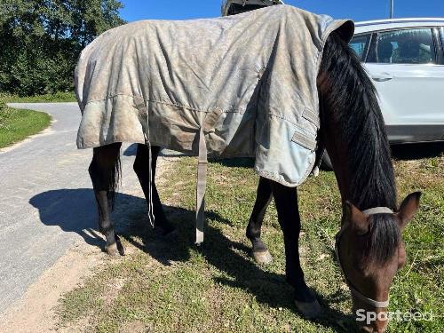 Equitation - Couverture d’extérieur  - photo 4