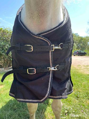 Equitation - Couverture imperméable équitation cheval et poney ALLWEATHER 300 1000D bleu - photo 5