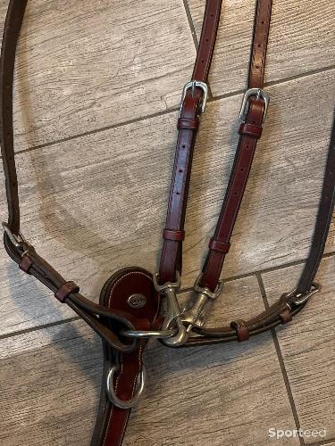 Equitation - Collier de chasse cheval Lexington TBE  - photo 6