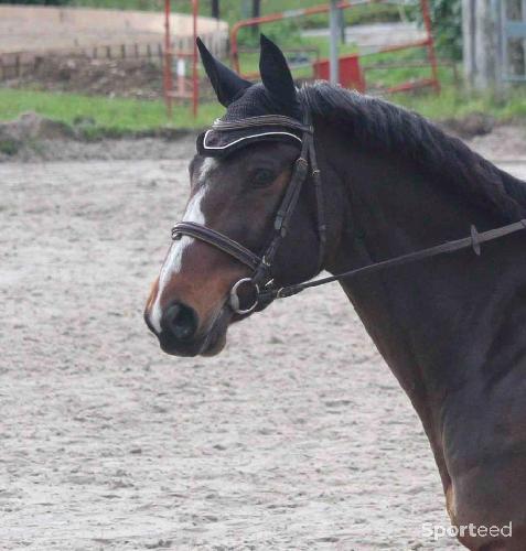 Equitation - Bonnet Kentucky Wellington Corduroy  - photo 3