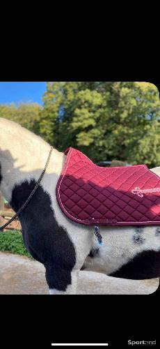 Tapis de selle cheval