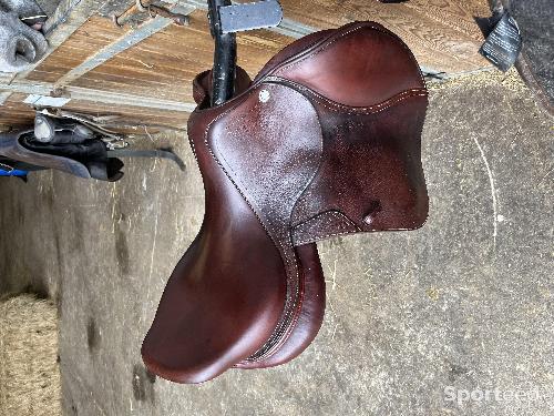 Equitation - Selle CWD 17.5 de 2021 disponible dès maintenant  - photo 6