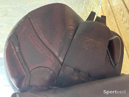 Equitation - Selle CWD 17.5 de 2021 disponible dès maintenant  - photo 6