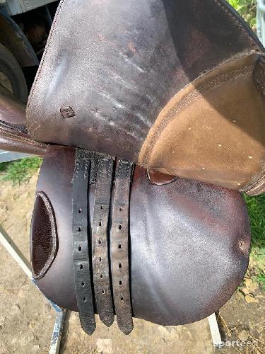 Equitation - Selle mixte plutôt cso - photo 4