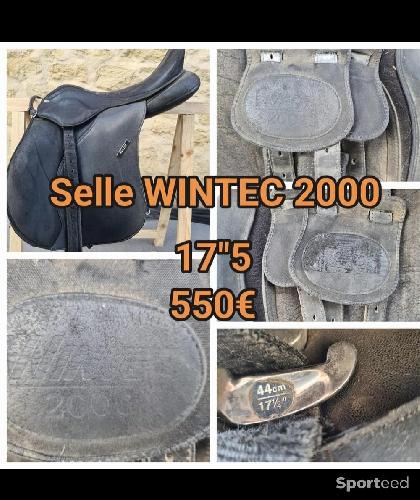 Selle wintec 2000 17.5'