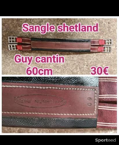 Sangle shetland