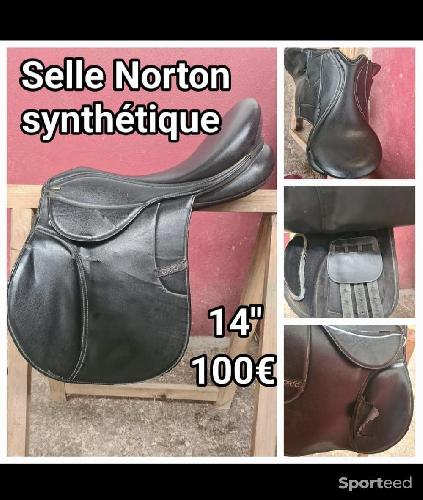 Selle norton