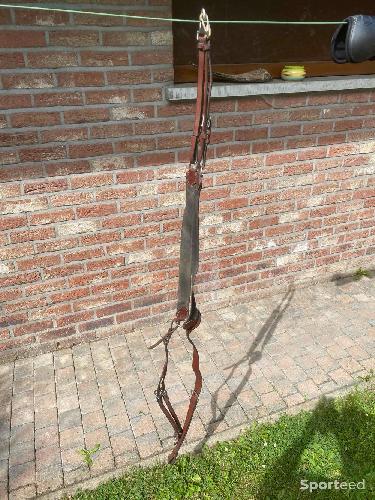 Collier de chasse + fourche martingale