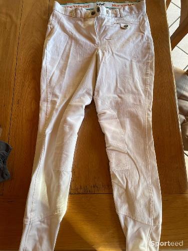 Pantalon concours horsewood