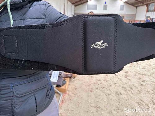 Ceinture de soutien dorsale