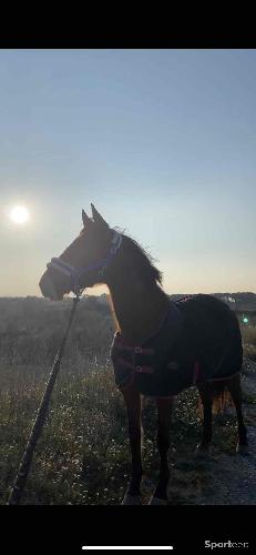 Couverture polaire 145